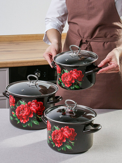 Набор посуды эмалированная сталь, 3 предмета, кастрюли 2.4, 3.4, 5 л., крыш стекло, Керченский металлургический завод, Пион-5-1-Люкс стиль