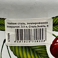 Чайник сталь, эмалированное покрытие, 3.5 л, СтальЭмаль, индукция, в ассортименте, 1с26с - фото 7