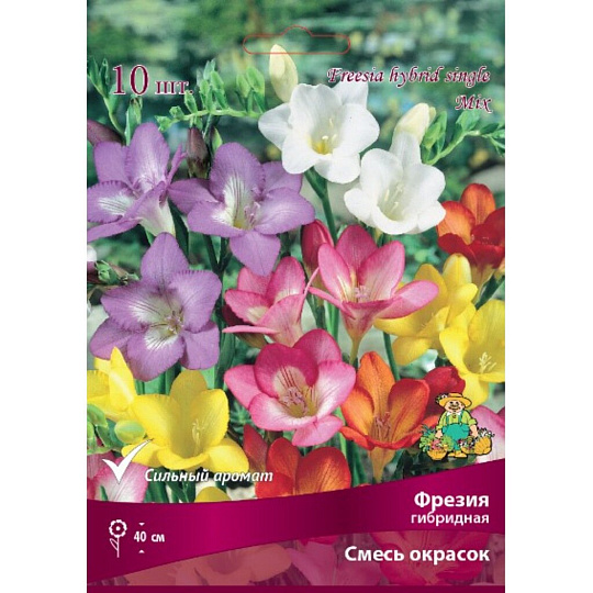 Луковицы Фрезия гибридная, смесь окрасок, 10 шт