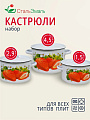 Набор посуды эмалированная сталь, 3 предмета, кастрюли 1.5,2.9,4.5 л, индукция, СтальЭмаль, Клубника садовая, 1с33