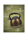 Чайник нержавеющая сталь, 2.7 л, со свистком, матовый, ручка бакелитовая, с силиконовым покрытием, Daniks, индукция, золото, M-084 - фото 10