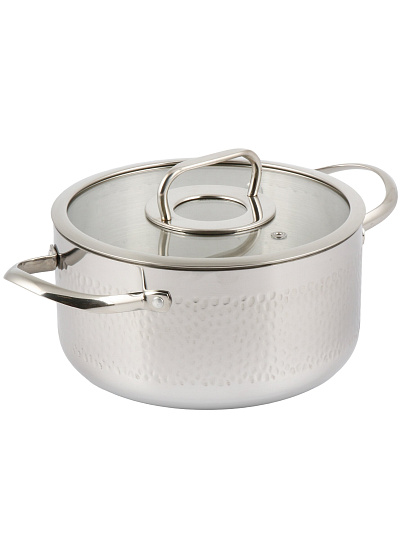 Кастрюля нерж, 4.75 л, с крыш, крыш стекло, Daniks, Навия, индукц, SD-0136-22