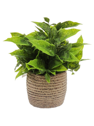 Цветок искусственный декоративный Трава, в кашпо, 20х6.5 см, A300111