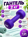 Гантель 2 кг, металл, неопреновое покрытие, By Sport, 089-033