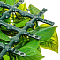 Декоративная панель Трава Apple leaf, 50х50х4 см, Y4-4002 - фото 3