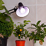 Лампа светодиодная для растений, E27, 11 Вт, Б0050603, Эра, ЭРА FITO-11W-Ra90 - фото 7