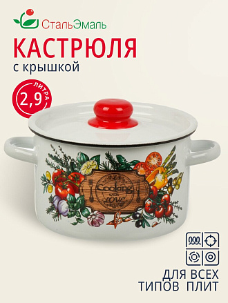 Кастрюля эмалированная сталь, 2.9 л, крышка сталь, кнопка, цилиндр, СтальЭмаль, Смак, 1с16с/1, белая, индукция
