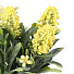 Цветок искусственный в кашпо, 17 см, Y4-6925 - фото 2