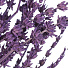 Цветок искусственный декоративный Сухоцветы, 60 см, фиолетовый, Y6-10347 - фото 2