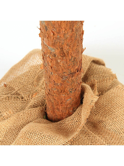 Елка новогодняя напольная, 180 см, Натуральное дерево, ель, зеленая, хвоя ПВХ пленка, P19