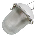 Светильник General Lighting Systems, НСП 02-100-001.01, 100 Вт, E27, на 1 лампочку, IP54, 24.6х24.6х17.2 см, без решетки, 437821