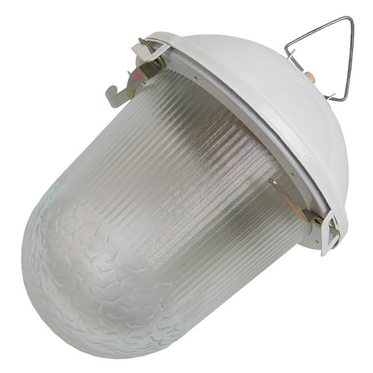 Светильник General Lighting Systems, НСП 02-100-001.01, 100 Вт, E27, на 1 лампочку, IP54, 24.6х24.6х17.2 см, без решетки, 437821