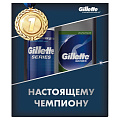 Подарочный набор Gillette TGS Sensitive Skin Алоэ Вера для чувствительной кожи (пена для бритья 250 мл + гель после бритья 100 мл)