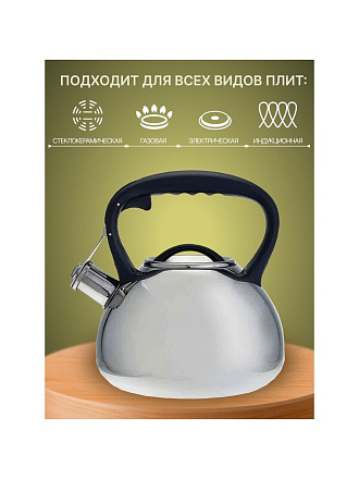Чайник нержавеющая сталь, 3 л, со свистком, зеркальный, ручка пластиковая, Alpenkok, индукция, AK-516