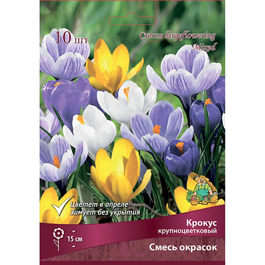 Луковицы Крокус крупноцветковый, смесь окрасок, 8-9/К, 10 шт