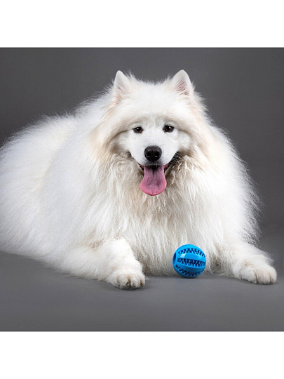 Игрушка для собак, жевательная, Рыжий кот, Мяч, 7 см