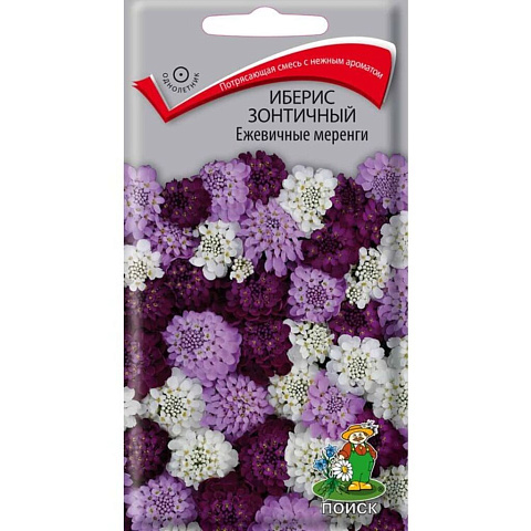 Семена Цветы, Иберис, Ежевичные меренги, 0.1 г, зонтичные, цветная упаковка, Поиск