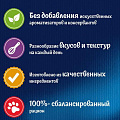 Корм для животных Феликс, Природа вкуса, 75 г, для взрослых кошек, кусочки в соусе, говядина, пауч, 12512725 - фото 4