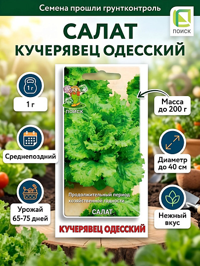 Семена Салат Кучерявец, Одесские, 1 г, пакет, Поиск