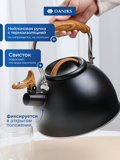 Чайник нержавеющая сталь, 2.5 л, со свистком, матовый, ручка с покрытием, нейлон, Daniks, индукция, GS-04415B