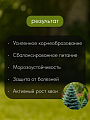 Удобрение для хвойных, с биодоступным кремнием, пролонгированное, ведро, минеральное, 1 л, Bona Forte - фото 6