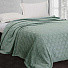 Плед 1.5-спальный, 150х200 см, велсофт жаккард, 100% полиэстер, CL Home, Magnolia, зеленый, 150/006-MAG/LA - фото 8