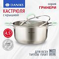 Кастрюля нержавеющая сталь, 4.5 л, с крышкой, крышка стекло, силиконовые ручки мятные, Daniks, Гринери, SD-23-22-2, индукция