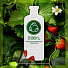 Шампунь Herbal Essences, Белая клубника и Сладкая мята, для всех типов волос, 400 мл - фото 8