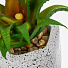 Цветок искусственный декоративный Суккулент, в кашпо, 11х10х13.5 см, Y4-6919 - фото 3