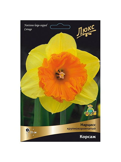 Луковицы Нарцисс крупнокорончатый, Корсаж, 12-14/К, 3 шт