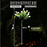 Украшение садовое Букет, 74 см, полимер, с подсветкой, Y4-8086 - фото 9