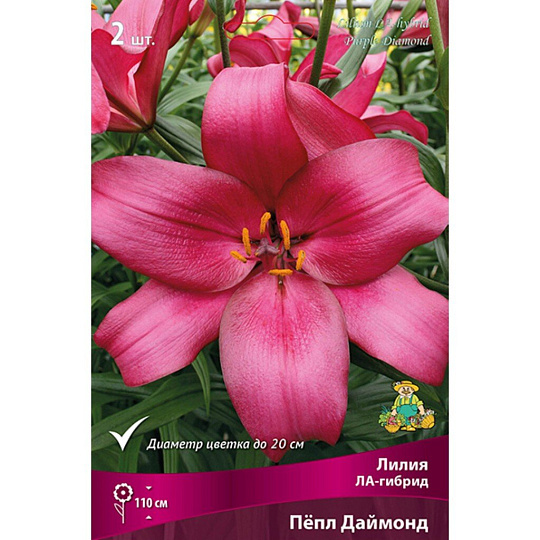 Луковицы Лилия ЛА-Гибрид, Пепл Даймонд, 14-16, 2 шт