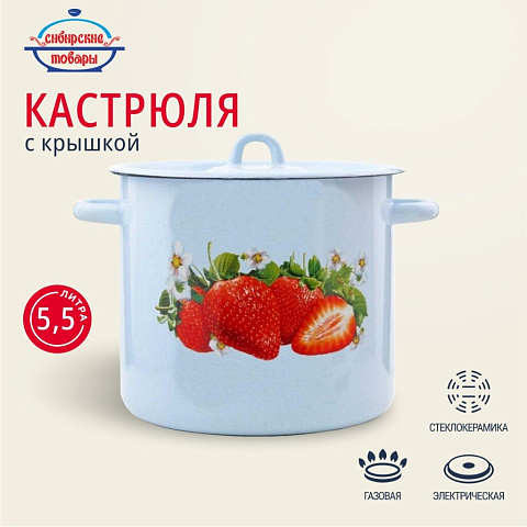 Кастрюля эмалированная сталь, 5.5 л, с крышкой, крышка сталь, петля, с декором, цилиндрическая, Сибирские товары, С1617.СГ, серо-голубая