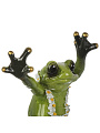 Фигурка декоративная полистоун, Танцующая лягушка, 24.5 см, Y4-9101 - фото 6