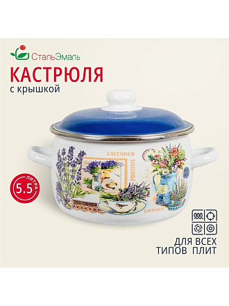 Кастрюля эмалированная сталь, 5.5 л, крышка сталь, сферический, СтальЭмаль, Горная лаванда, 6RC221M, индукция