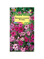 Семена Цветы, Вискария, Лихнис альпийский Румба, 0.05 г, цветная упаковка, Гавриш