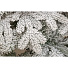 Елка новогодняя напольная, 240 см, Камчатская, ель, белая, хвоя литая + ПВХ пленка, 143240, ЕлкиТорг - фото 2
