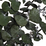 Цветок искусственный декоративный Ветвь, 60 см, темно-зеленый, Y6-10348 - фото 2