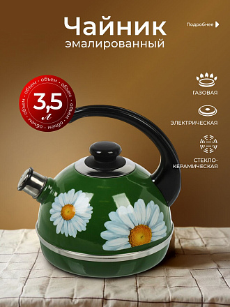 Чайник сталь, эмалированное покрытие, 3.5 л, со свистком, ручка консольная, Рубин, Ромашки, зеленый, T04/35/07/14