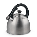 Чайник из нержавеющей стали Rondell Perfect RDS-494 со свистком, 2.2 л