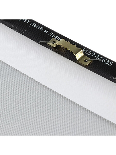 Картина холст, 50х70 см, Портрет льва и львица 2, kt57-14635