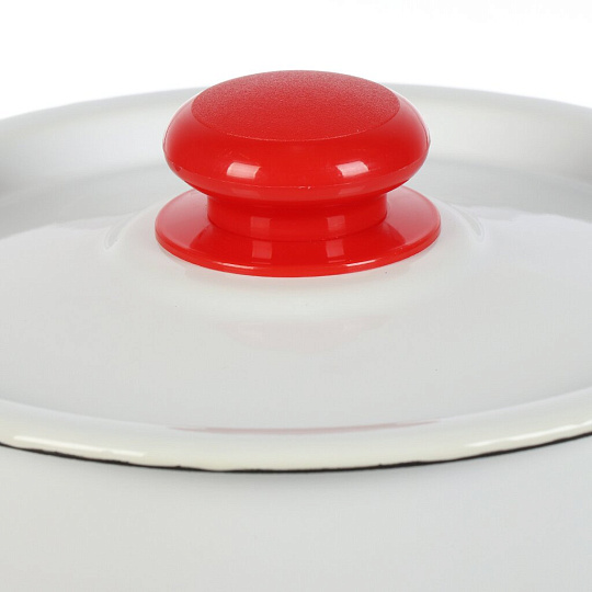 Кастрюля эмалированная сталь, 3.5 л, крышка сталь, цилиндрическая, Сибирские товары, Маки, С1612.3*67