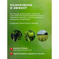 Фунгицид Интрада, защита овощных и полевых культур, 50 мл, жидкость, Avgust - фото 3