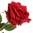 Цветок искусственный декоративный Роза, 70 см, красный, Y4-7911 - фото 2