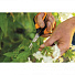 Ножницы для травы, 182 мм, 10 мм, лезвие плоскостное, Fiskars, Solid SP15, рукоятка пластик, 1051602 - фото 3