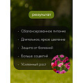 Удобрение для петуний и бегоний, пролонгир, с биодоступн кремнием, ведро, 1 л, Bona Forte - фото 7