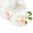 Цветок искусственный декоративный Орхидея в кашпо, 55 см, белый, Y4-7945 - фото 3