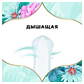 Прокладки женские Discreet, Air Single, 20 шт, 0001037384 - фото 7
