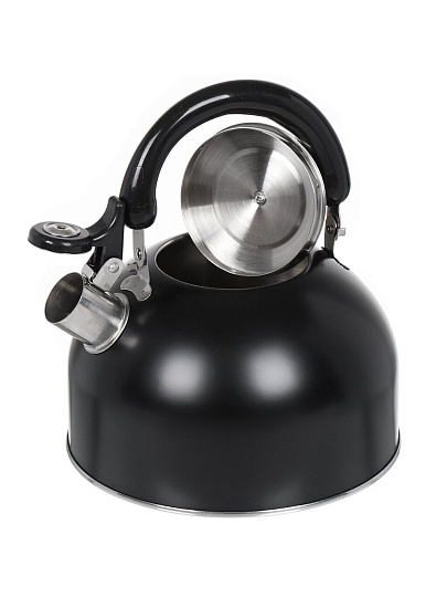 Чайник нержавеющая сталь, 2.5 л, со свистком, матовый, ручка металлическая, Daniks, индукция, черный, GS-04001