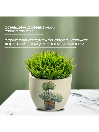 Кашпо керамика, 0.2 л, 6.5х8х6.5 см, в ассортименте, Кактусы, Y3-1295/318493